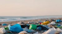 Sampah plastik di laut.