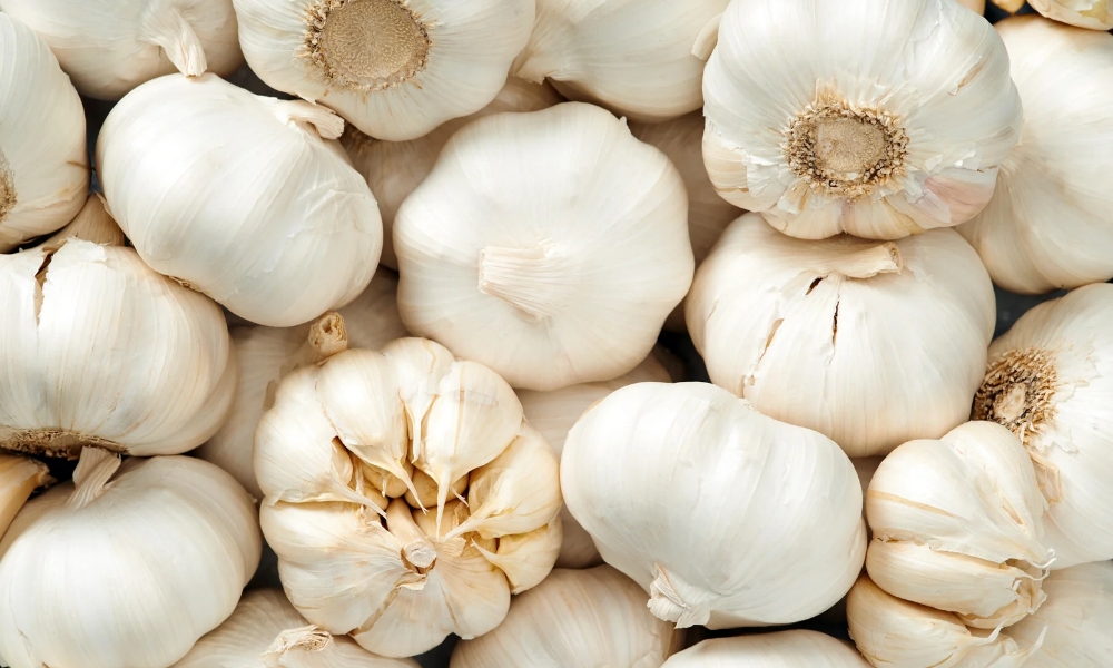 Bawang putih