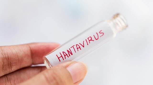 Hantavirus